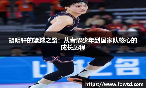 3377体育官网